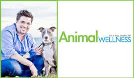 Animal wellness
